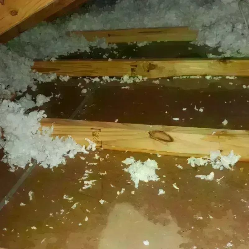 Attic Water Damage in Glasgow, KY