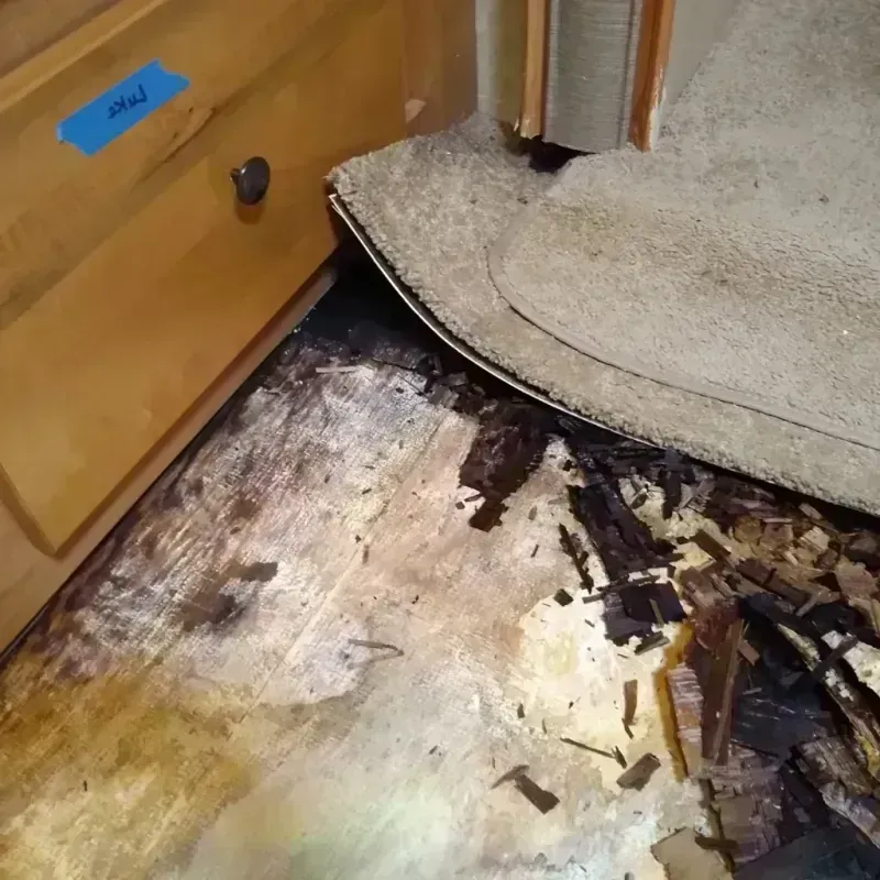 Best Wood Floor Water Damage Service in Glasgow, KY